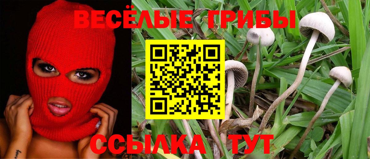 Галлюциногенные грибы мицелий  Вход с VPN  Юрга 